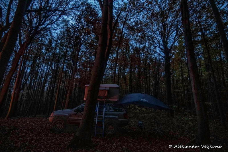 Night in Homolje forest