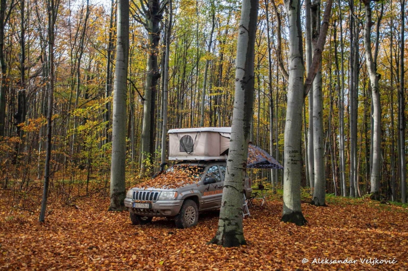 Morning in Homolje forest
