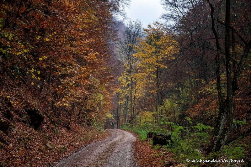In the Kločanica (Suvaja) canyon