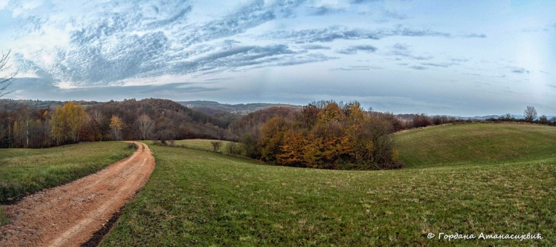 The landscape of Lipovica