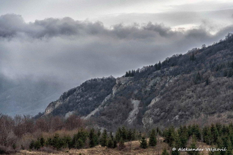 Kučaj in December