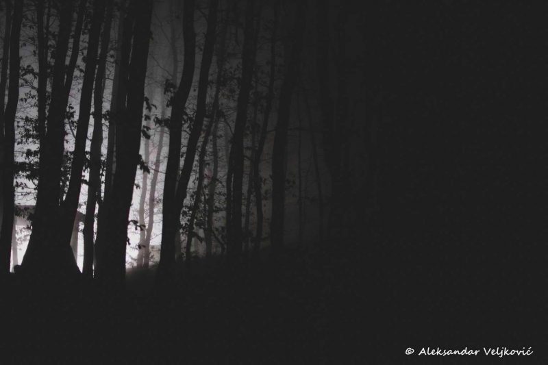 A foggy night in Lipovica