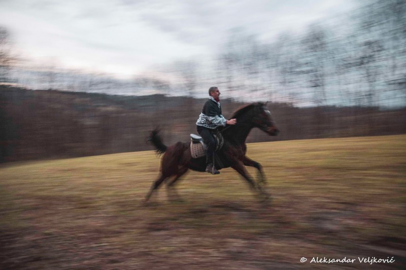 Riding at full speed at the Eco Farm Milanović