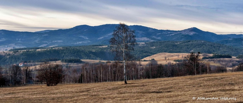 From Tometino polje towards Divčibare