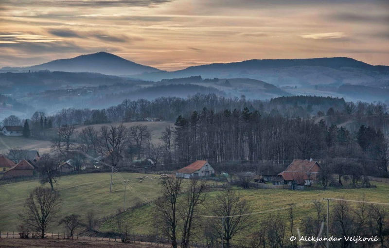 Tometino polje