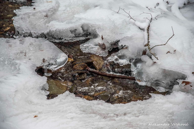 Stream breaking through ice