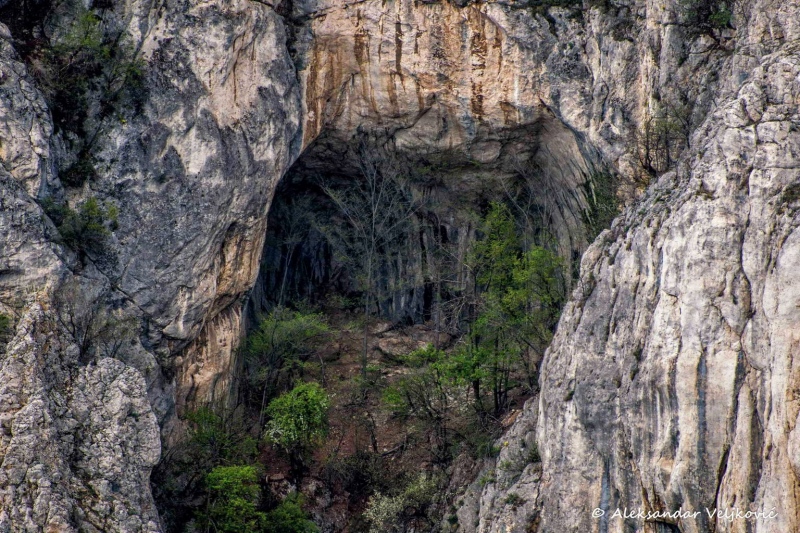A cave in Lazar's canyon