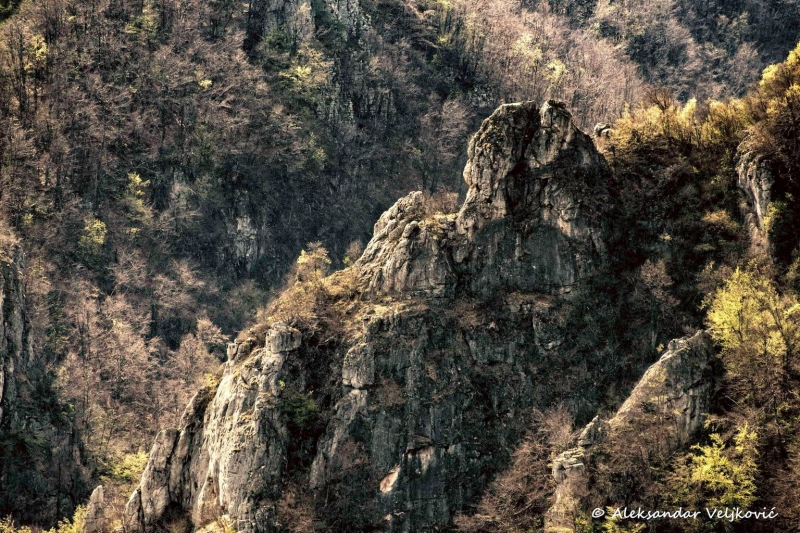 Lazar's canyon, detail