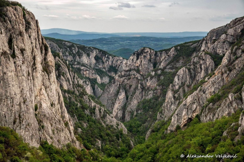 A view down the canyon