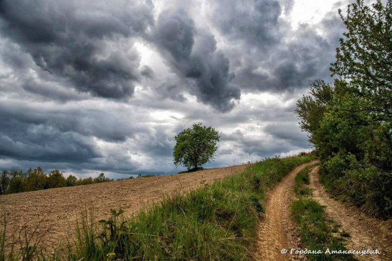 Lipovica before the storm