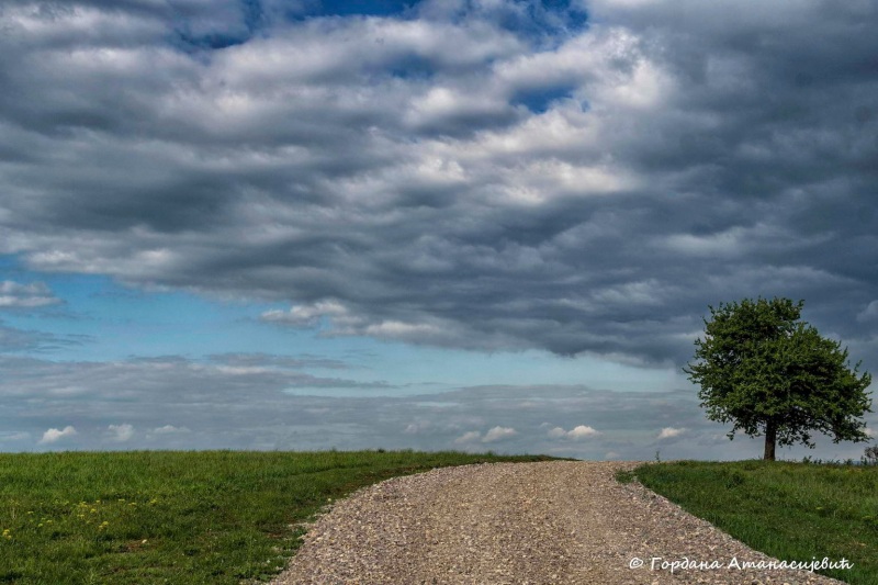 A road north of Lipovica