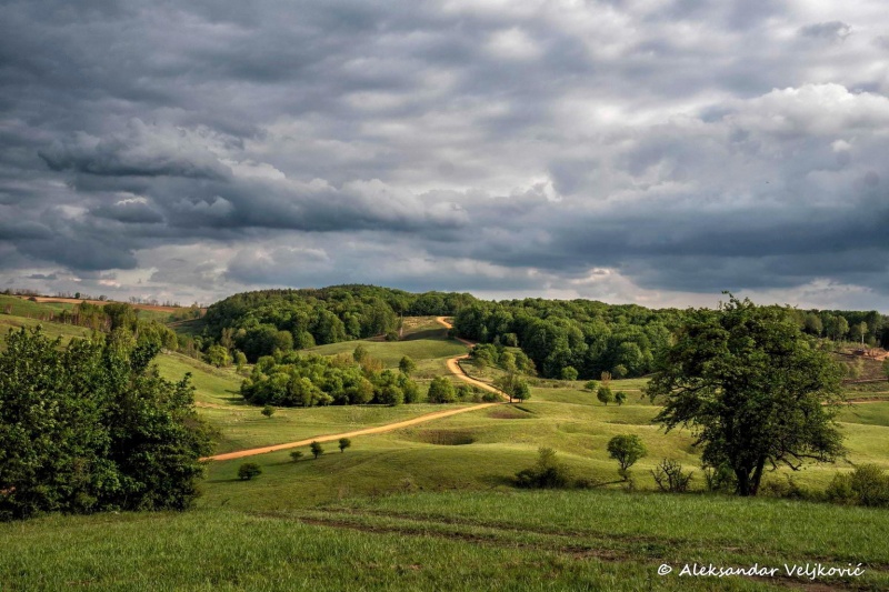 Idyllic landscapes of Lipovica