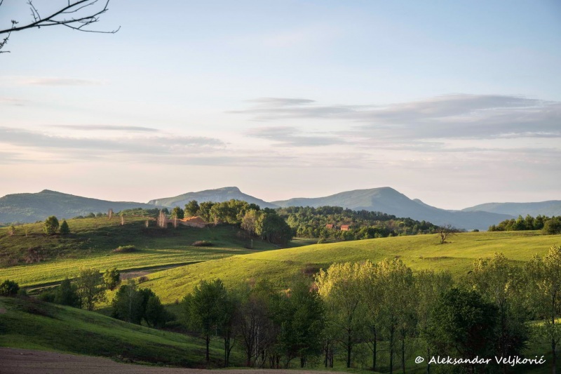 Doesn't it look like Shire?