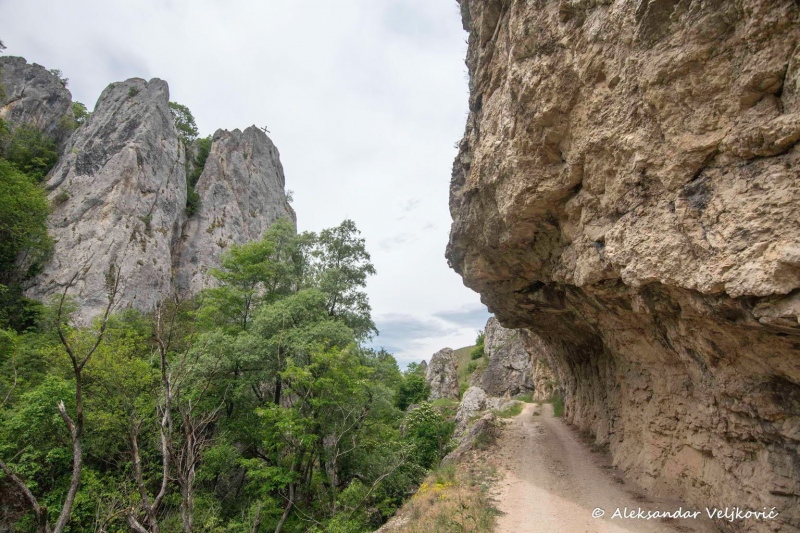 The Ždrelo gorge