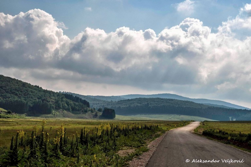 Velika Brezovica, summer view