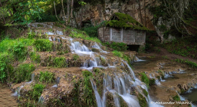Taor springs