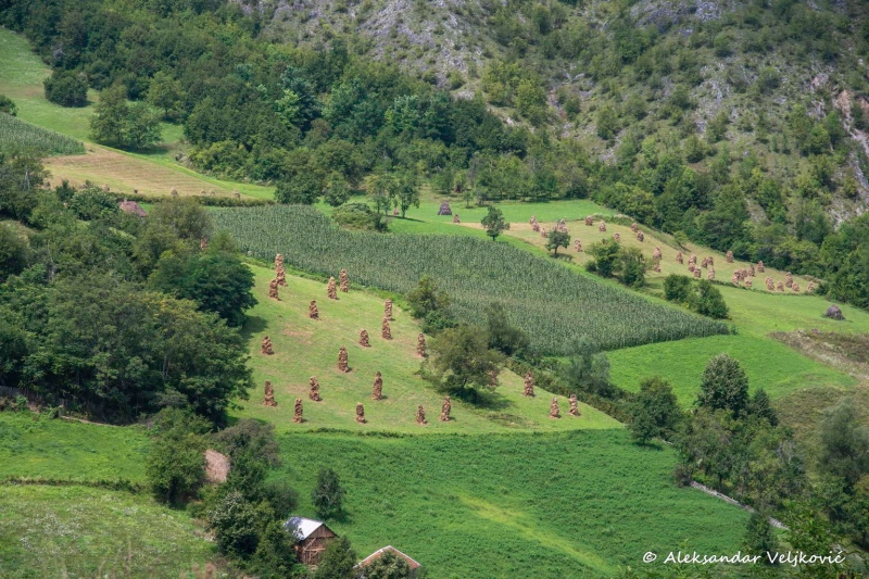 Meadows on Rožanj mountain